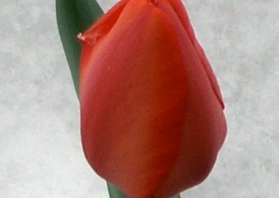 hpim0247