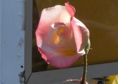 hpim0632